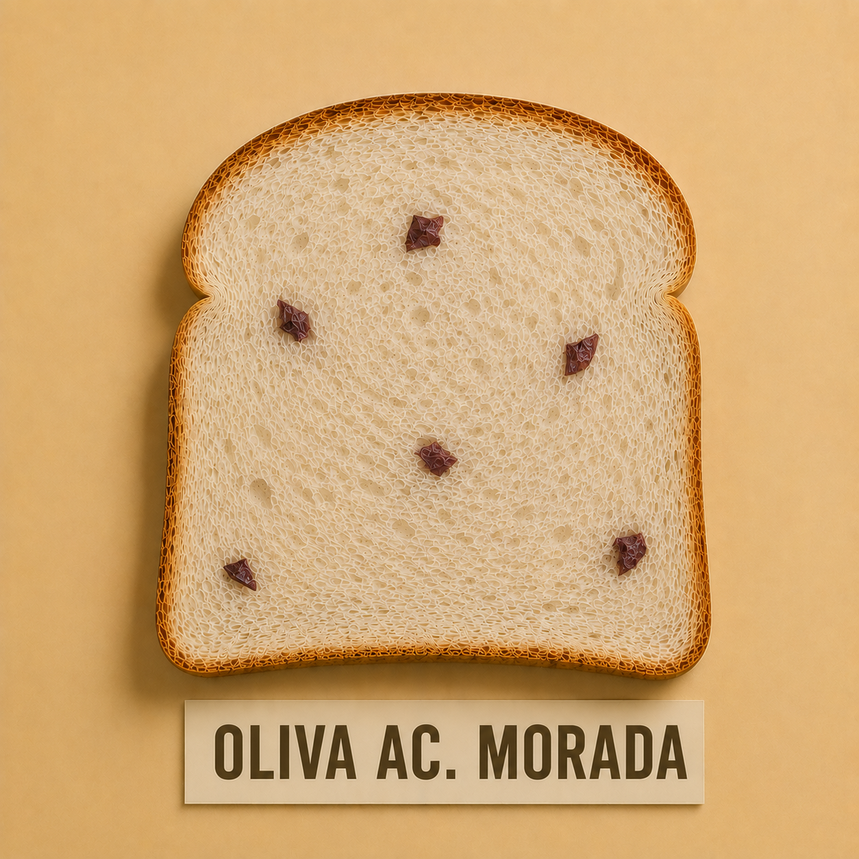Pan Aceitunas Moradas con Oliva